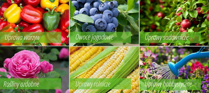 AdeSil krzemowy biostymuator wzrostu roślin 1 kg