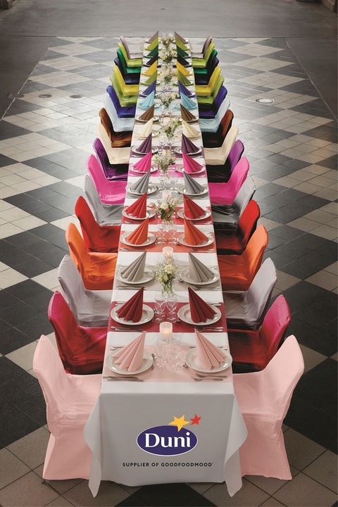 SERWETKI FLIZELINOWE 40 X 40 CM ZIELONE BIO-DUNISOFT 60 SZT