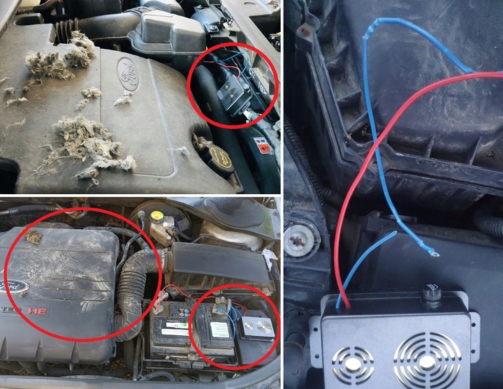 Nowość! KUNA STOP! Profesjonalny preparat NA KUNY!