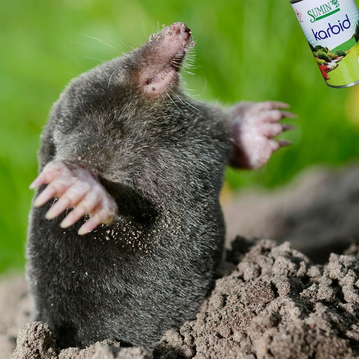 KARBID NA KRETY I NORNICE SUMIN GRANULOWANY ŚRODEK ODSTRASZA ZAPACHEM 1KG