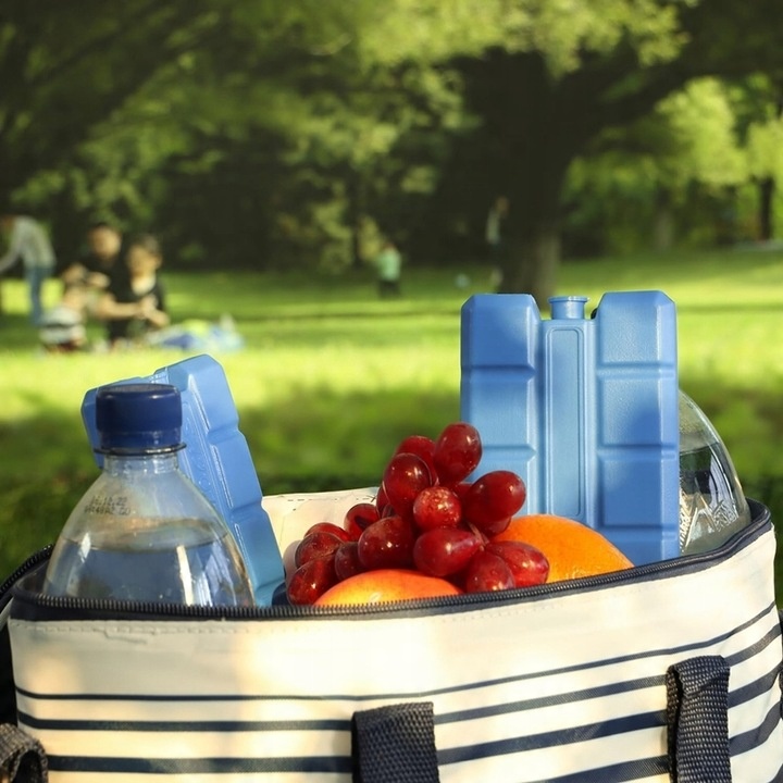 Torba Termiczna Piknikowa Turystyczna Lodówka Kosz Wkłady Chłodzące Mrożąc