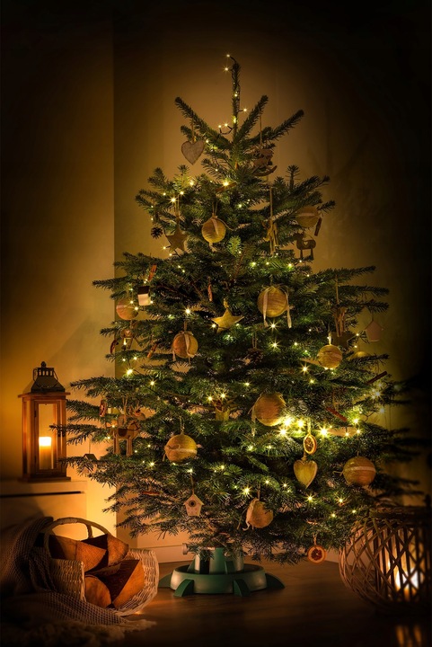 STOJAK POD CHOINKĘ CHOINKI POJEMNIK CHOINKOWY 2,5 L NA DRZEWKO DRZEWKA 1,5m