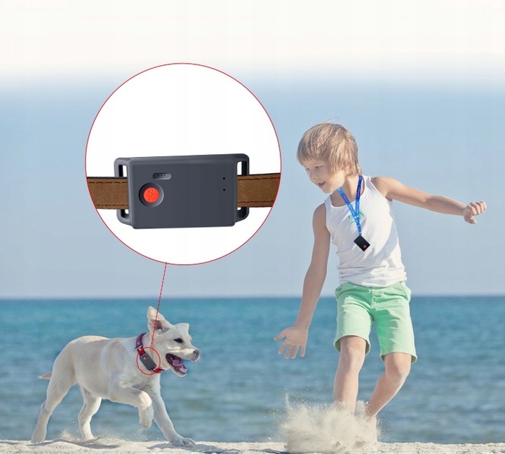 MINI LOKALIZATOR GPS TRACKER SINOTRACK ST904 PODSŁUCH SOS 15DNI 1200mah APP