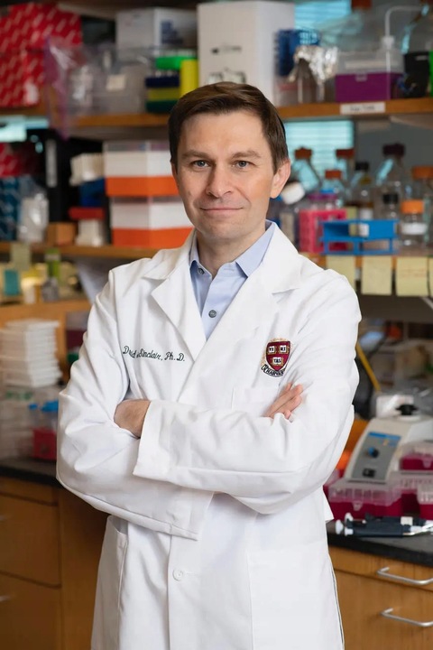 Resweratrol Resveratrol Rdest Japoński 15g proszek