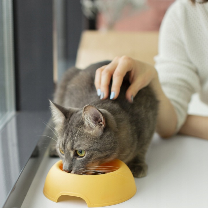 Butcher's mokra karma dla kota Delicious Dinners 40x400g mix