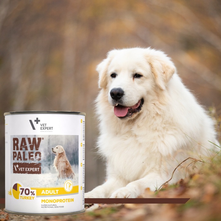 Mokra karma dla psów dorosłych indyk Raw Paleo 12 x puszka 800g