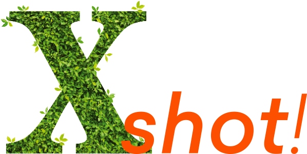 Xshot Colway naturalny energetyk z witamin 10x25ml