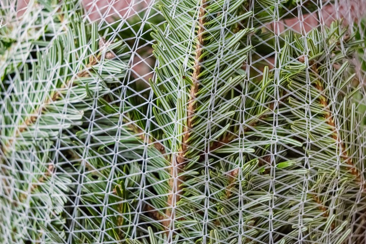 LZ45 Siatka do pakowania choinek 45cm x 300m MESHPACK ENVI