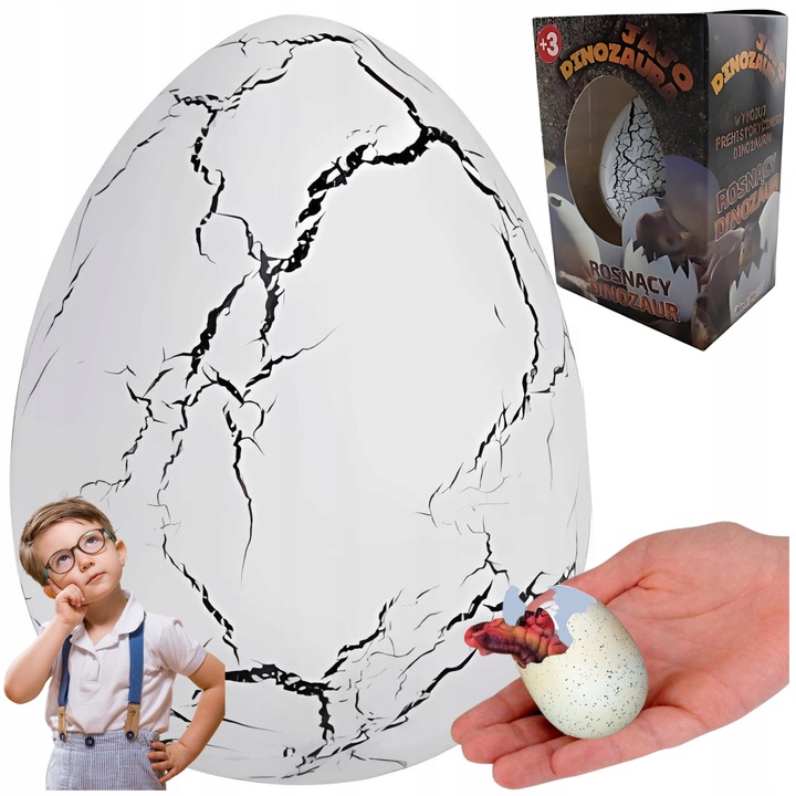 5x JAJO jajko dinozaura wykluwający rosnący DINOZAUR DUŻE NA PREZENT