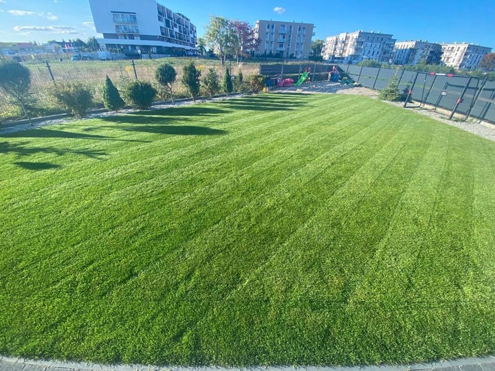 Nawóz do trawy do trawników na lato MAGGROW 20 kg