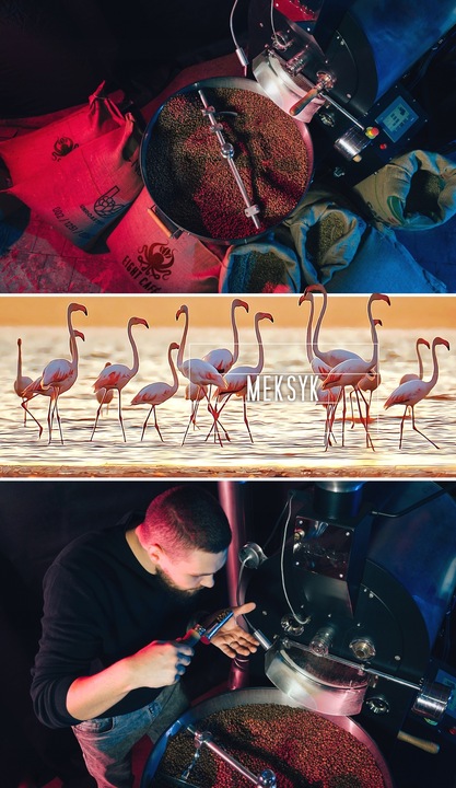 Kawa Mielona Świeżo Palona 100% Arabica Meksyk 500G Eight Cafe