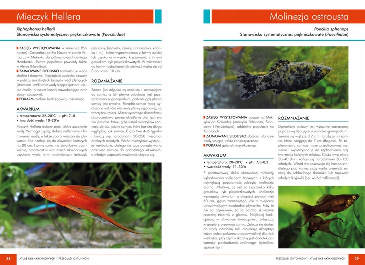 ATLAS RYB AKWARIOWYCH 150 GATUNKÓW Maja Prusińska TWARDA w.2023