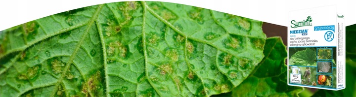 Oprysk Preparat Środek Owadobójczy + Grzybobójczy Miedzian+Mospilan ZESTAW