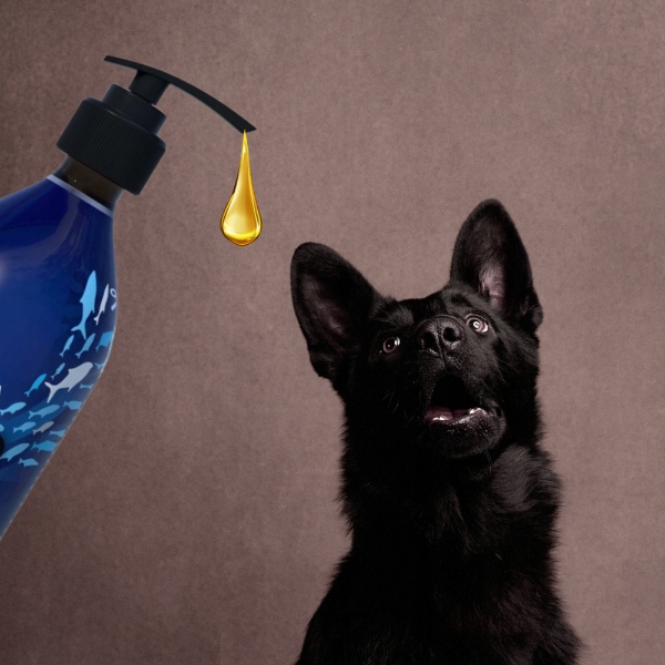 HOLISTA Tran z Dorsza 500ml Tran z watroby dorsza