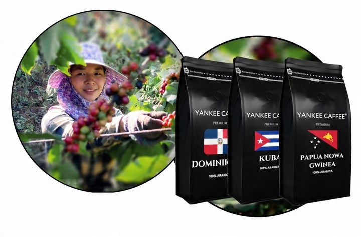 Kawa ziarnista Świeżo Palona Zestaw 3x1kg z różnych krajów Do ekspresu