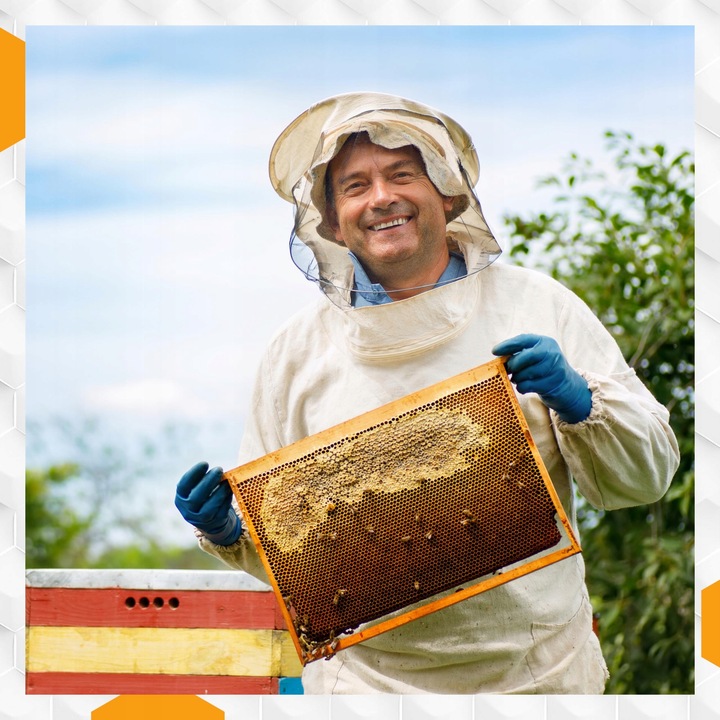 Nozevit PLUS mieszanka paszowa dla pszczół do ula pasieki Apivita 200 ml