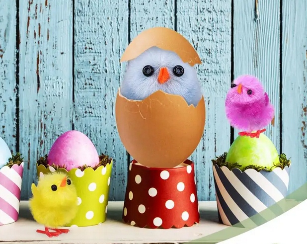 Zestaw startowy EDU MOTOR KIT do nauki Arduino