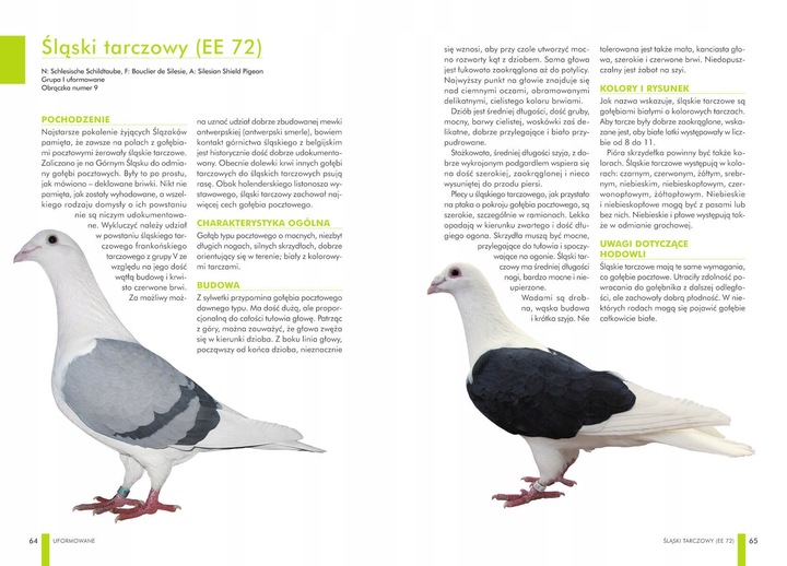 ZESTAW KSIĄŻEK O GOŁĘBIACH ATLAS GOŁĘBI POLSKIE RASY I GOŁĘBIE BARWNE 148