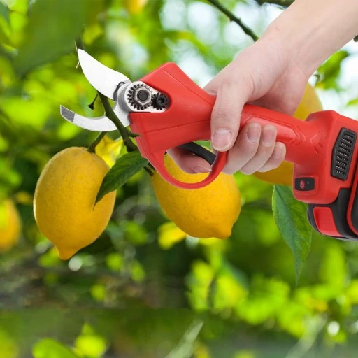 Sekator Akumulatorowy Nożyce Elektryczne Akumulatorowe 30mm 21V 2000mAh