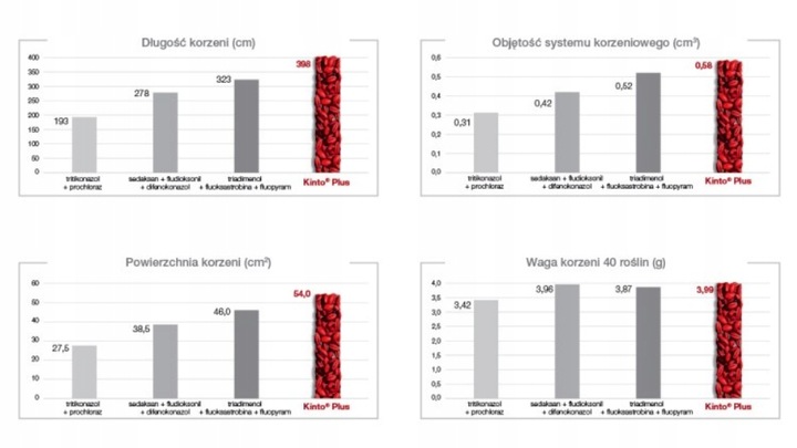KINTO PLUS 1L zaprawa ziaren siewnych zbóż BASF