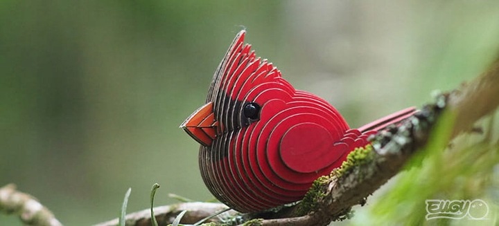 PTAK KARDYNAŁ SZKARŁATNY Układanka 3D EUGY