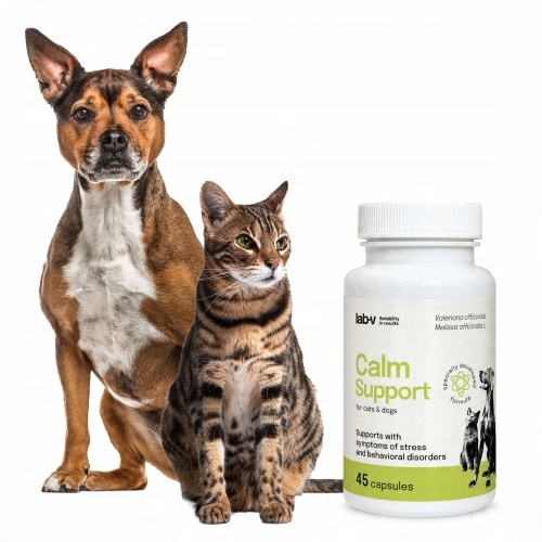 LAB-V Calm Support na stres 45 kapsułek