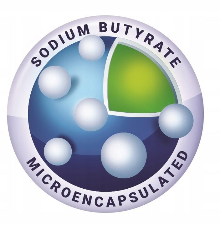 MAŚLAN SODU Aliness 720mg Kwas Masłowy Butyric Acid 100 kapsułek