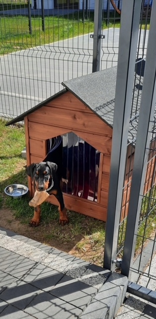 BUDA DLA PSA XL OCIEPLANA + GRATISY