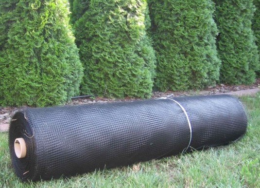 Skuteczna SIATKA NA KRETY 1,5x100m 150m2 10x10