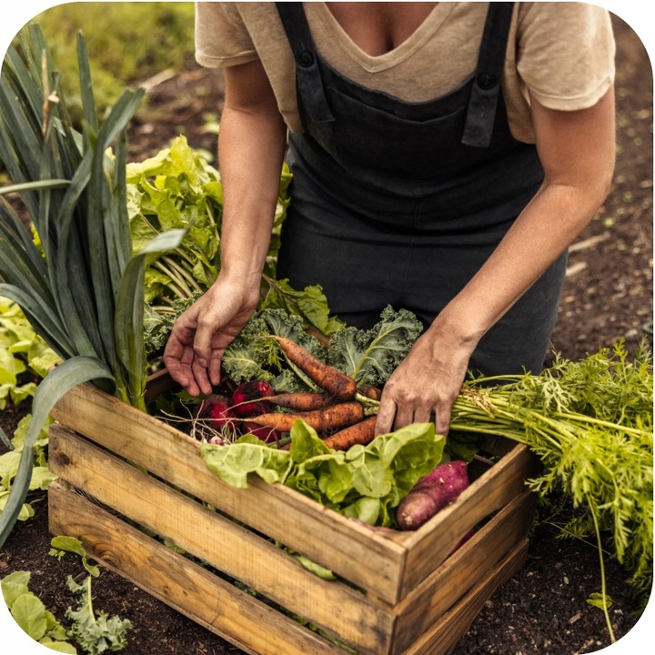FruktoVit Plus Nawóz uniwersalny granulowany ogrodniczy 5kg ZDROWE ROŚLINY
