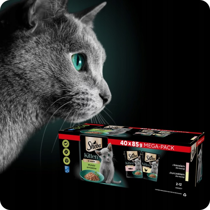 SASZETKI SHEBA KITTEN WYBÓR SMAKÓW Z ŁOSOSIEM I KURCZAKIEM 40X85G