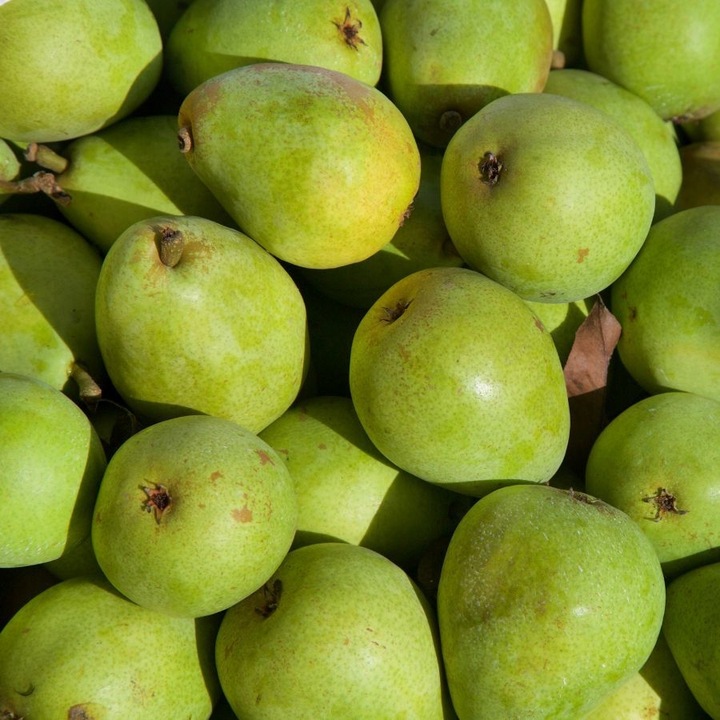 Wiejska Zagroda Karma sucha dla psa KACZKA GRUSZKA WARZYWA Duże rasy L 9kg