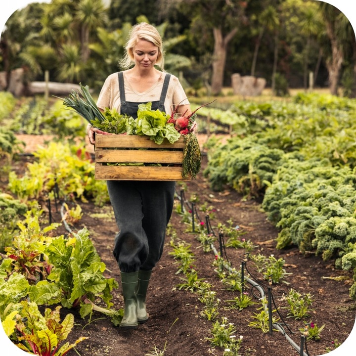 GRANULAT NA ŚLIMAKI 685g Substral Naturen Ślimakol EKO BIO + LIMA ORO 200G