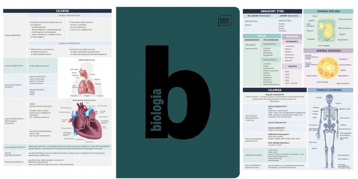 ZESTAW 10 x ZESZYTY PRZEDMIOTOWE ZE ŚCIĄGĄ A5/60k WZMOCNIONA OKŁADKA PP
