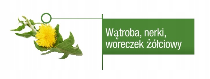 ERGYDETOX 60kaps Nutergia