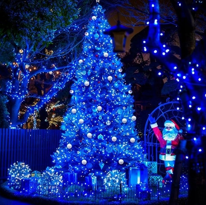 Lampki Choinkowe Flash 500 NIEBIESKIE + Biały Zimny FLASH