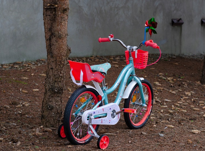 Rower dziecięcy Formula ALICIA koło 18 " turkusowy