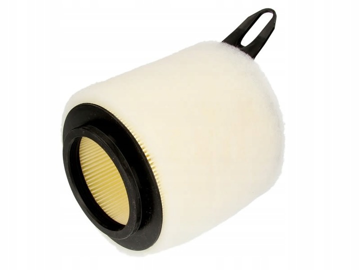 FILTR POWIETRZA FILTRON AK362/4