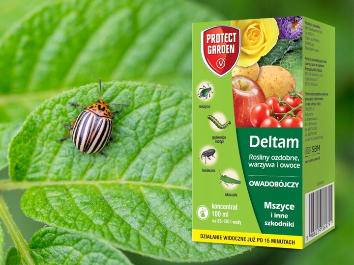 DELTAM ŚRODEK OWADOBÓJCZY MSZYCA KWIECIAK SKOCZEK GĄSIENICE MOTYLI 100ML