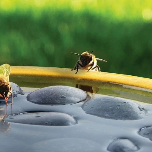 Stylowe poidło do ogrodu DLA OWADÓW PSZCZÓŁ żółte