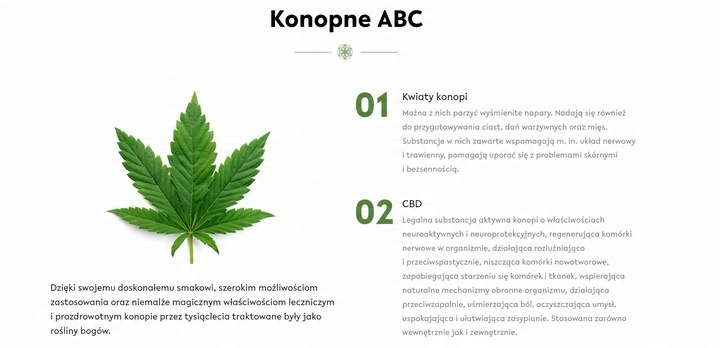 CBD 15% Broad Spectrum OLEJEK KONOPNY DLA PSÓW PSA KOTÓW KOTA OD PRODUCENTA