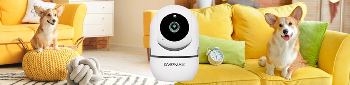 KAMERA DLA PSA KOTA DO OBSERWACJI MONITORING DOMU APLIKACJA Karta SD GRATIS