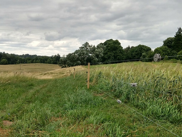 Izolatory do pastucha elektrycznego do drewna 100szt elektryzator drut