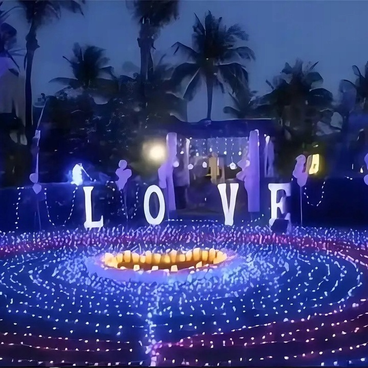 LAMPKI CHOINKOWE 1000 LED ZEW/WEW NIEBIESKI