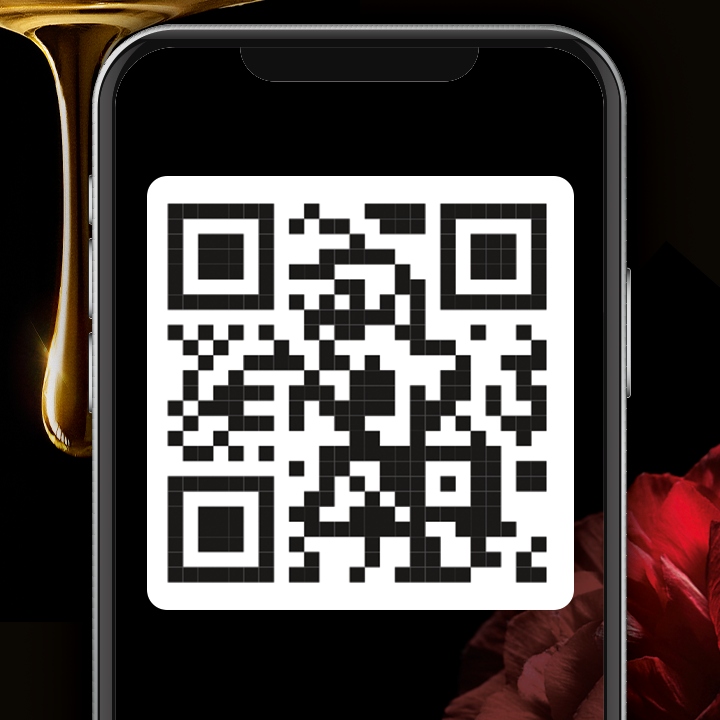 Syoss Oleo Farba do włosów czekolada brąz 4-86 x 2