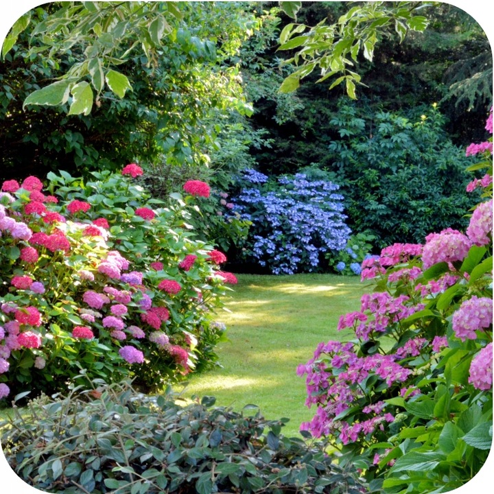 Nawóz uniwersalny do ogrodu 3kg AZOFOSKA granulowany OBFITE PLONY