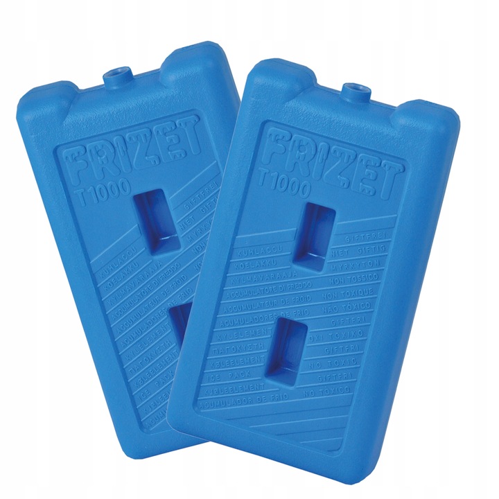 Pojemna lodówka na piknik Pinnacle TPX 6007 11L czerwona + 2 wkłady T1000