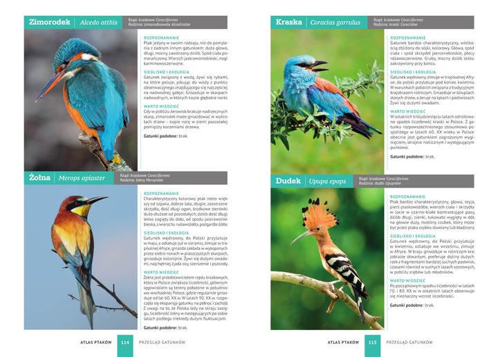 ATLAS PTAKÓW PTAKI POLSKI 250 GATUNKÓW TWARDA OPRAWA KSIĄŻKA NA PREZENT