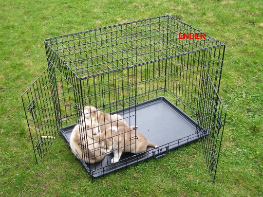 DUŻA KLATKA KENNELOWA KOJEC Transporter dla PSA PSÓW 106x71x81 cm XXL