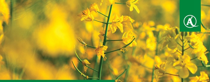 FUSILADE FORTE 150EC 1L CHWASTNICA PERZ MIOTŁA ŚRODEK CHWASTOBÓJCZY CHWASTY